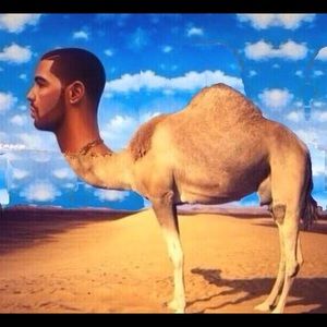 Meet your Posher, Jake